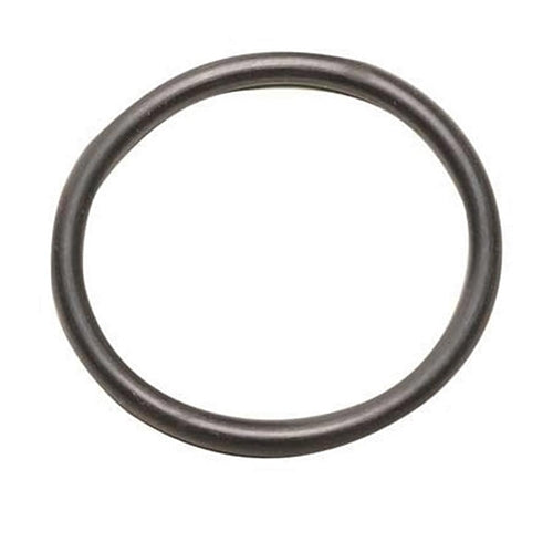Piston O-ring
