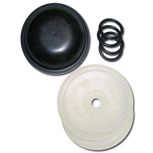 Hypro D30/AR30 Diaphragm Kit