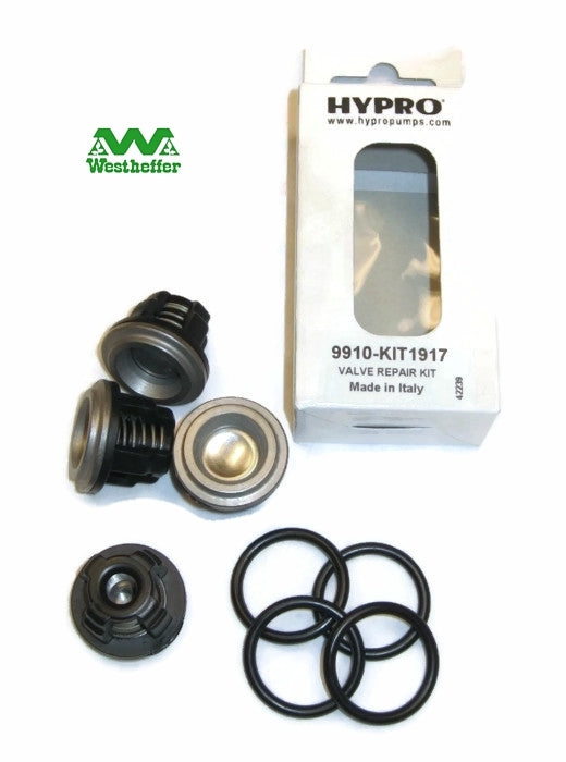 Hypro D30 Valve Kit 